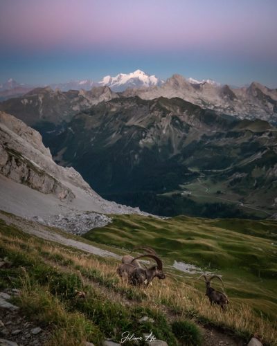 Alpes-58