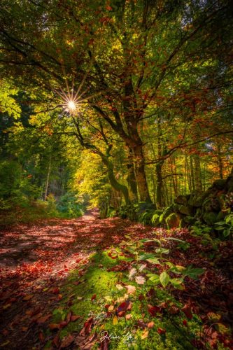 Echappées-Locales-22