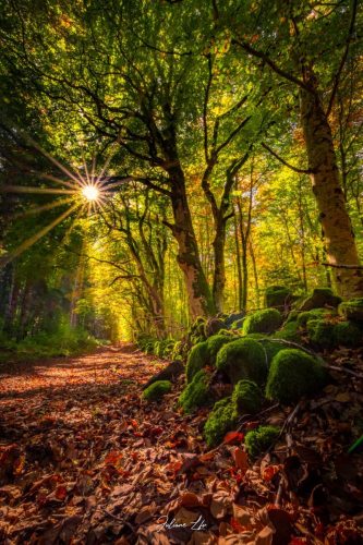 Echappées-Locales-24