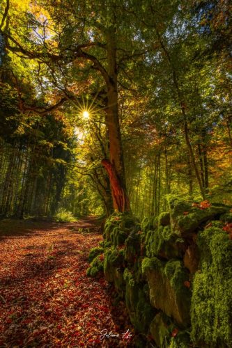 Echappées-Locales-21