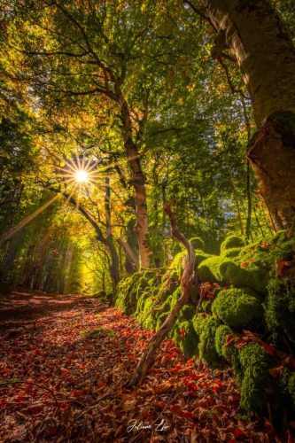 Echappées-Locales-20