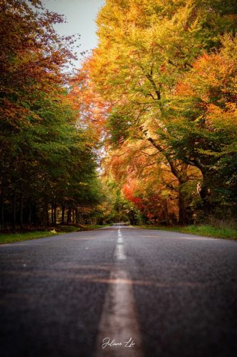 Echappées-Locales-19