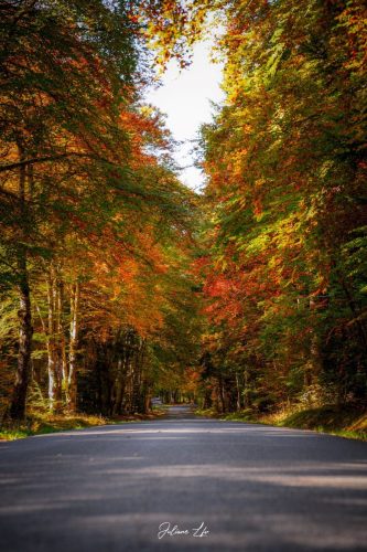 Echappées-Locales-23