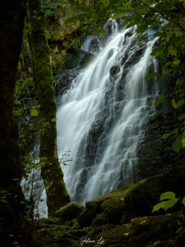 Cascade-4