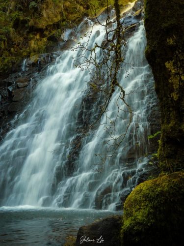 Cascade-5