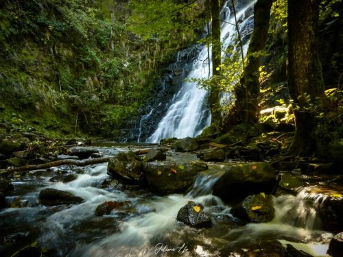Cascade-8