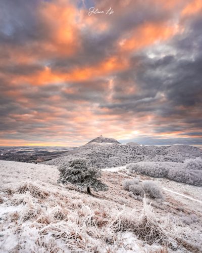Puy des Goules 11