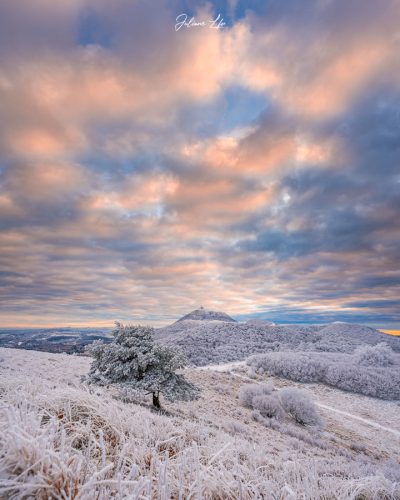 Puy des Goules 8